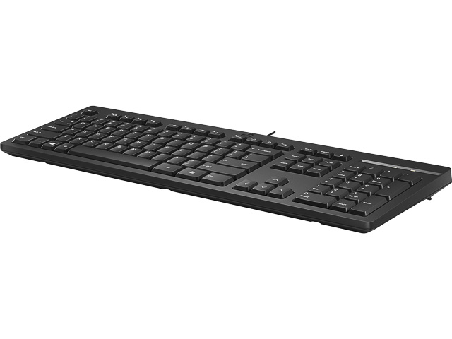 HP 125 KEYBOARD QWERTZ WITH CABLE 266C9AA#ABD USB-A black 1